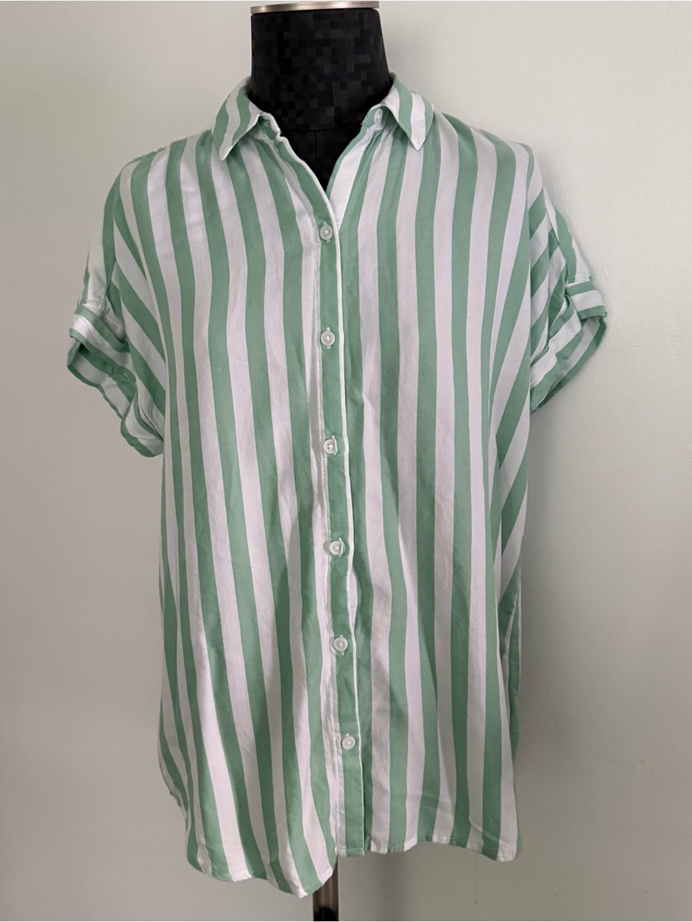 Beach Lunch Lounge Darby Button Down Blouse